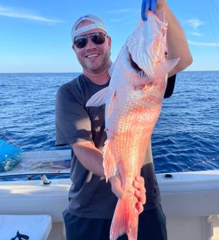 Red Snapper in Madeira Beach, FL